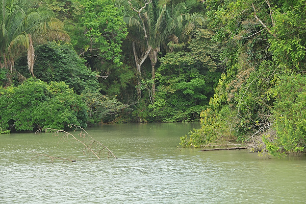 Canal%20Transit%20046.jpg