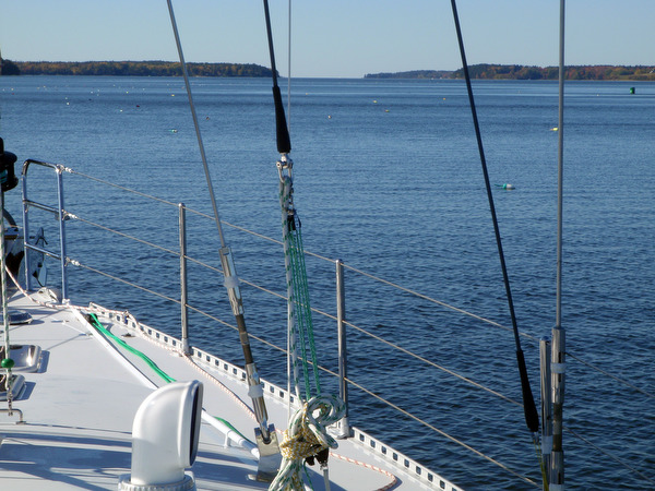 2008-10-11%20084905A.jpg