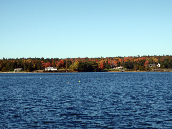 2008-10-11%20092356A.jpg