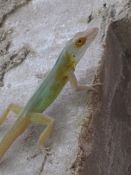2009-05-20%20104020.jpg