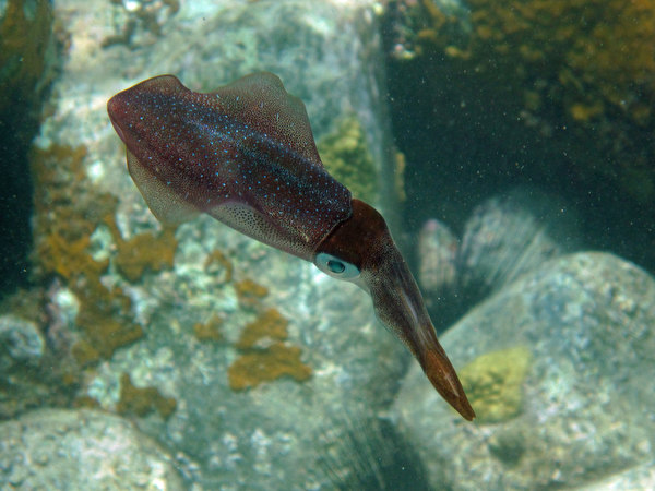 2009-05-22%20114513A.jpg