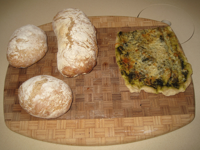 2010-01-17%20124009.jpg