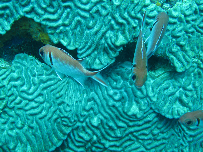 2010-04-08%20150550.jpg