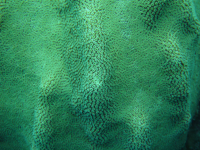 2010-04-08%20153949.jpg