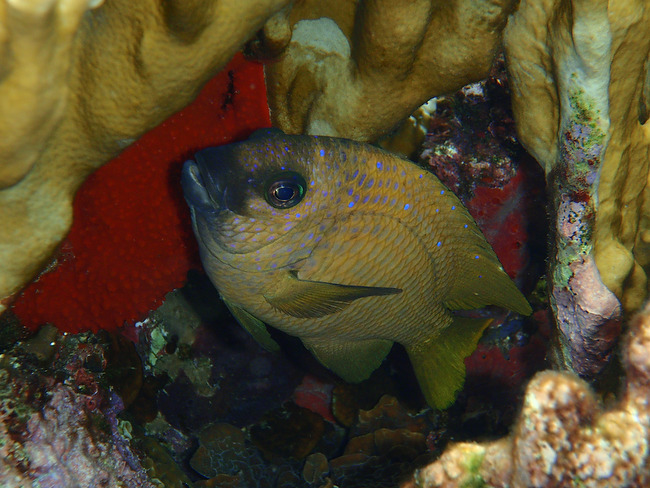 2010-04-22%20125454.jpg