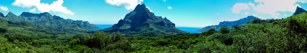 2011-09-06%20113246-edit.jpg