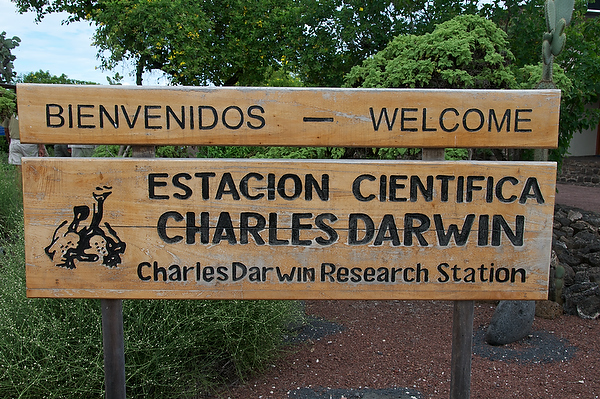 2011-04-08%20143141.jpg