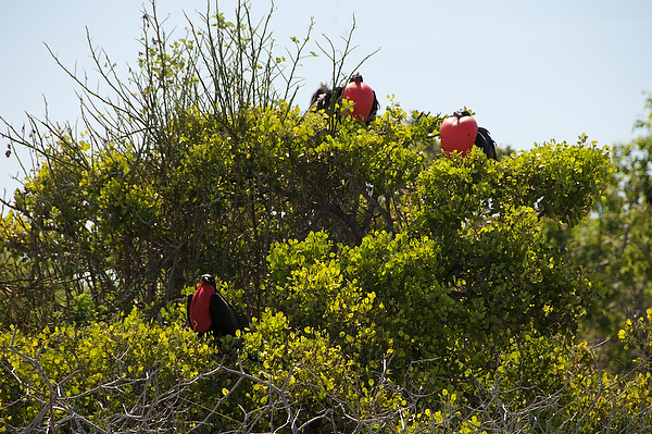 2011-04-09%20090936.jpg