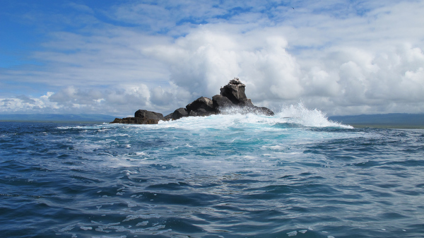 2011-04-19%20094323.jpg