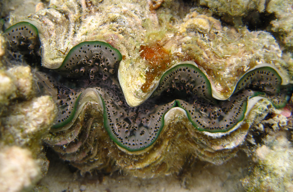 2011-10-07%20122954.jpg