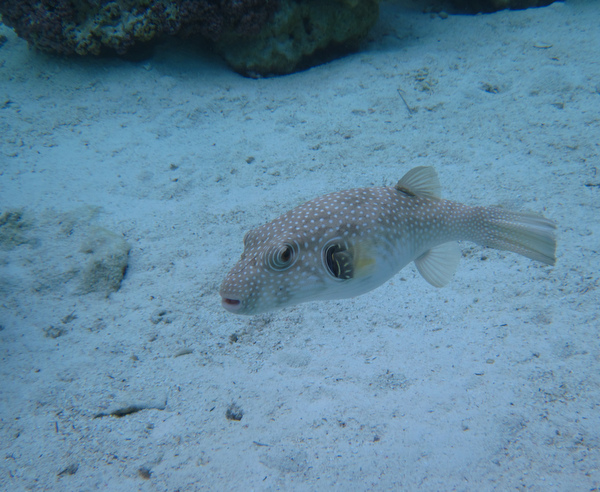 2011-10-10%20133146.jpg