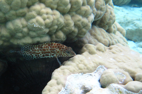 2011-10-10%20134035.jpg