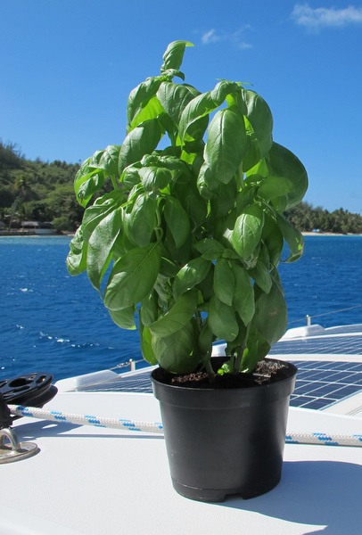 2011-09-17%20092216.jpg