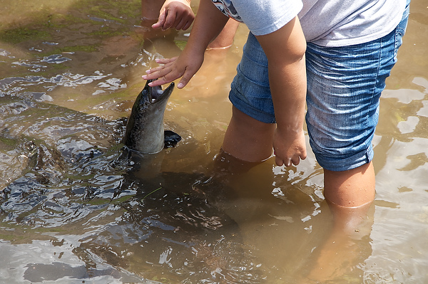 2011-09-19%20114307.jpg