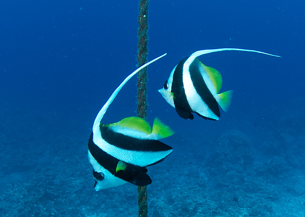 2011-09-29%20112704.jpg